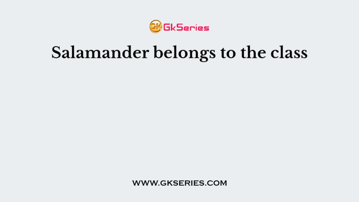Salamander belongs to the class