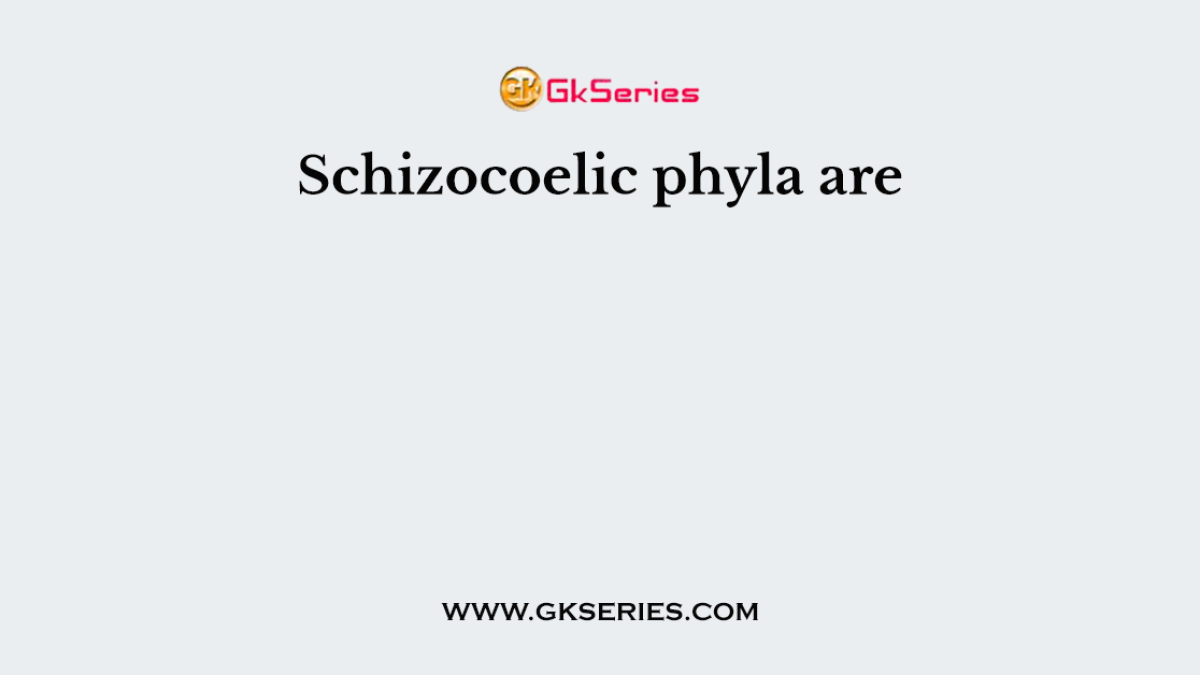 Schizocoelic phyla are
