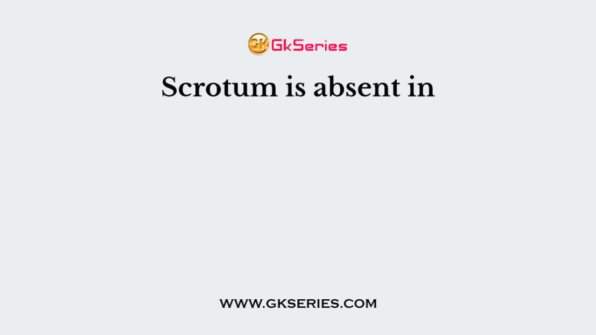 Scrotum is absent in