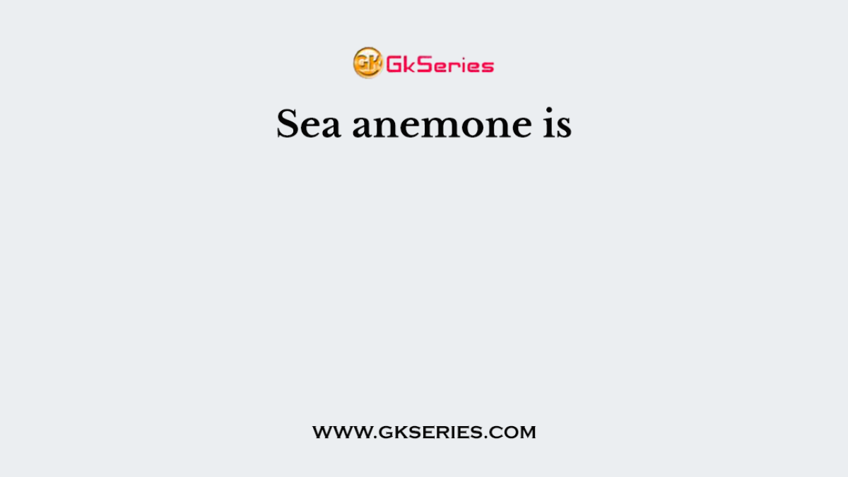 Sea anemone is