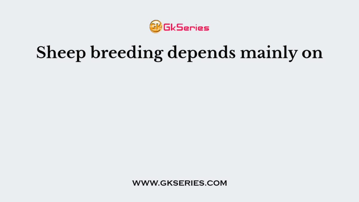 Sheep breeding depends mainly on