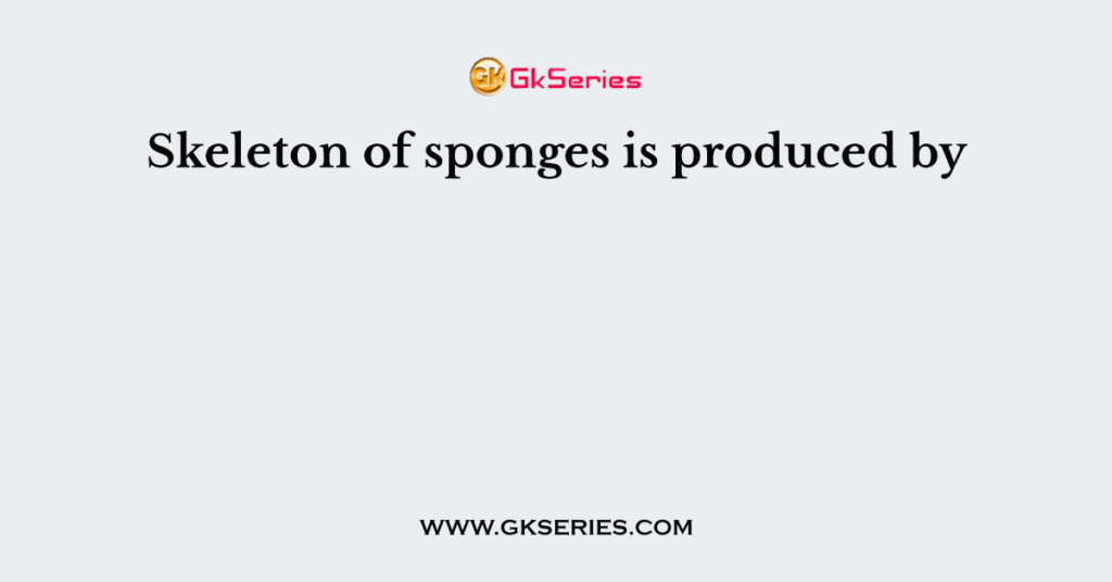 Skeleton of sponges is produced by