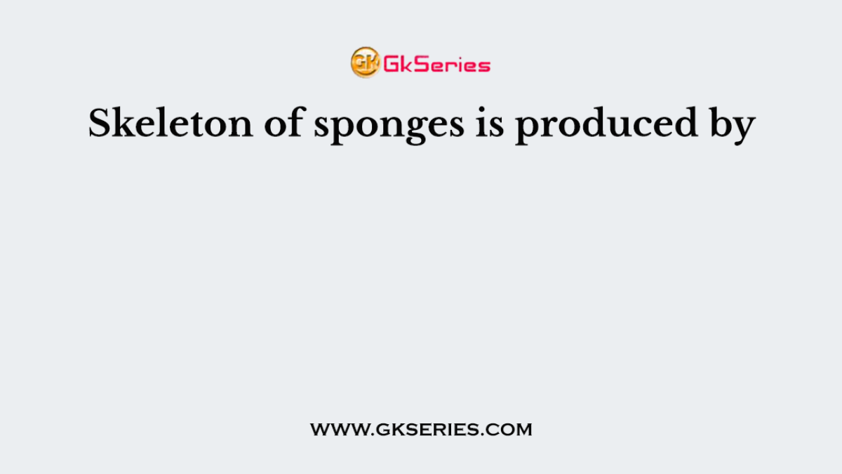 Skeleton of sponges is produced by