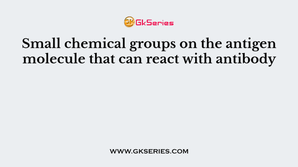 Small chemical groups on the antigen molecule that can react with antibody