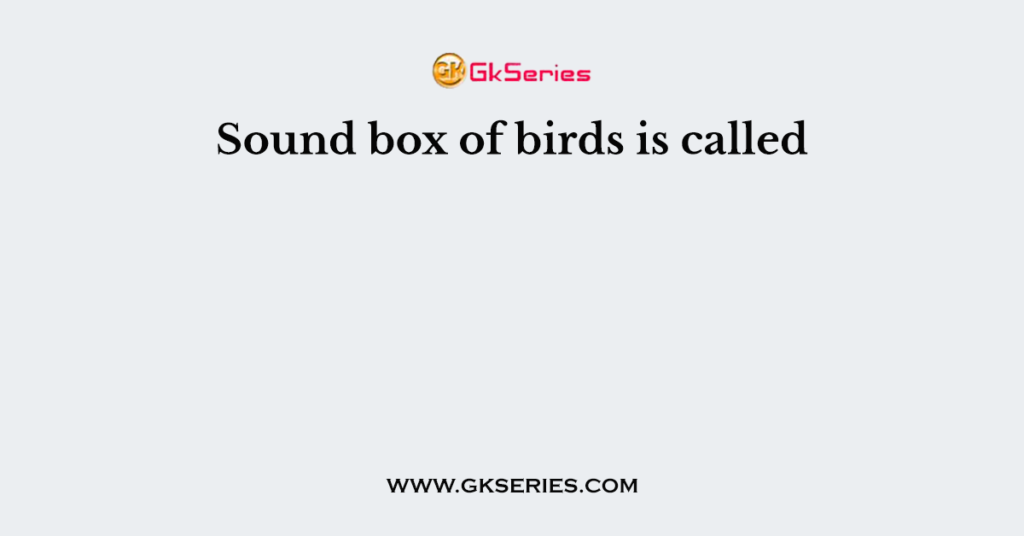 Sound box of birds is called