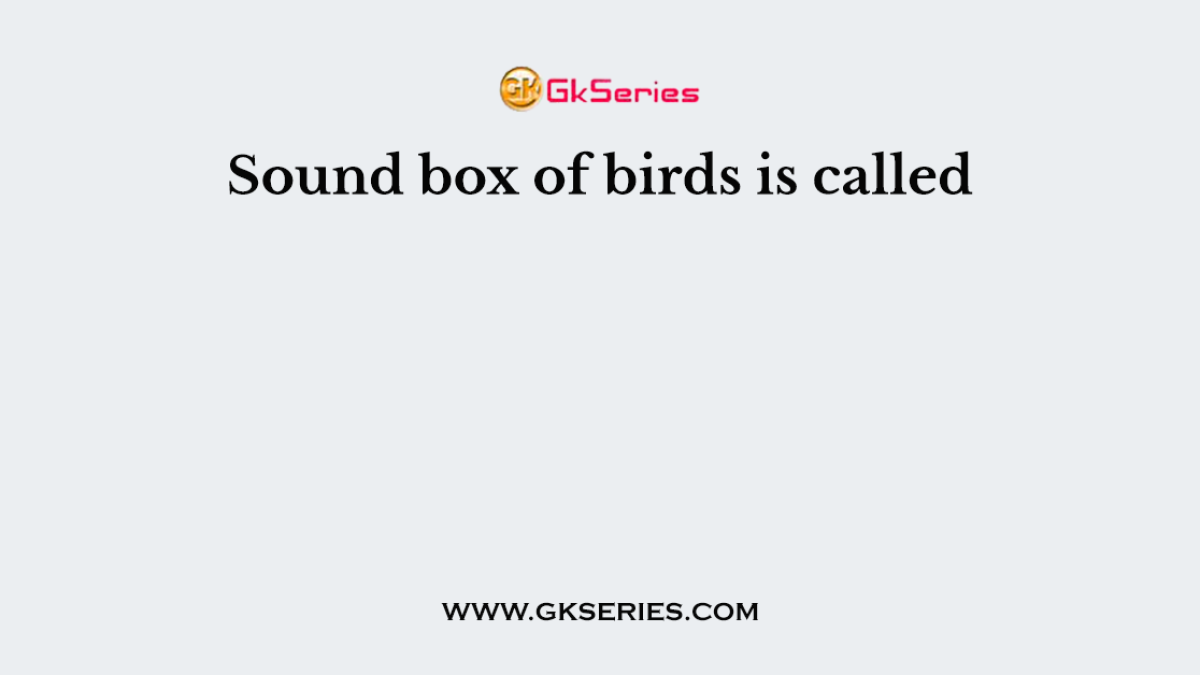 Sound box of birds is called