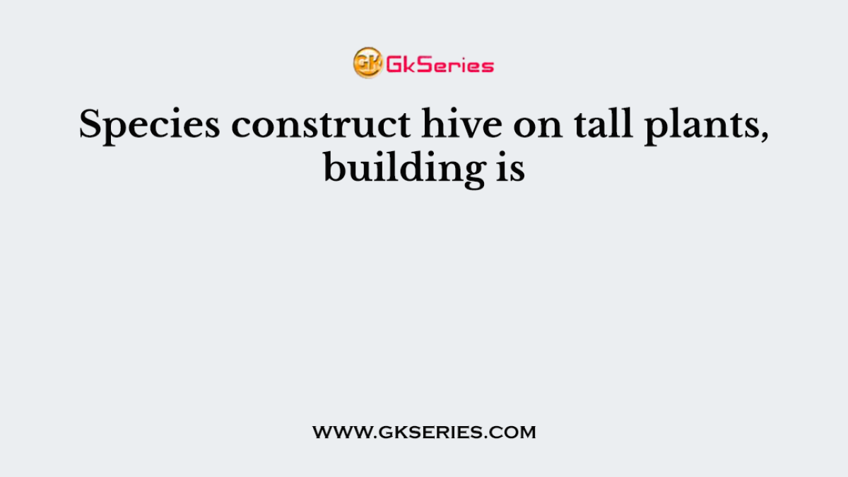 Species construct hive on tall plants, building is