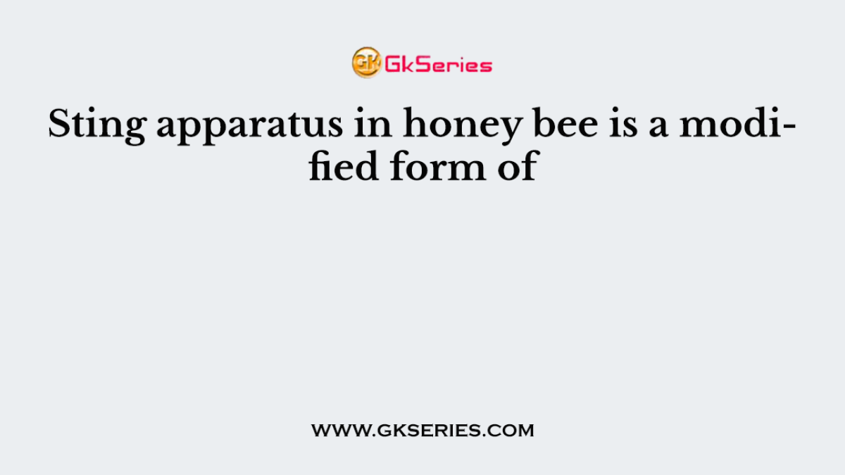 Sting apparatus in honey bee is a modified form of