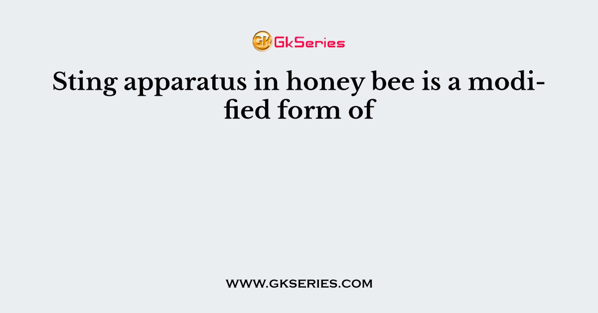 Sting apparatus in honey bee is a modified form of