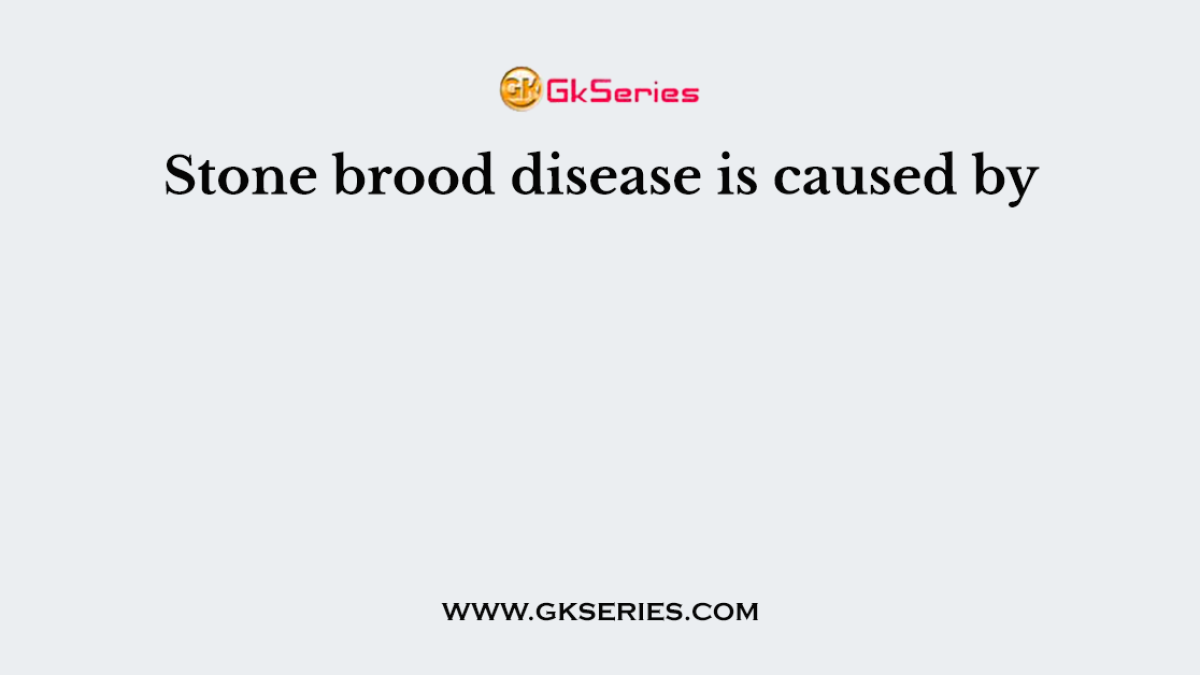 Stone brood disease is caused by