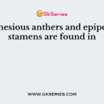 Syngenesious anthers and epipetalous stamens are found in