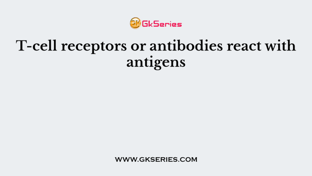 T-cell receptors or antibodies react with antigens