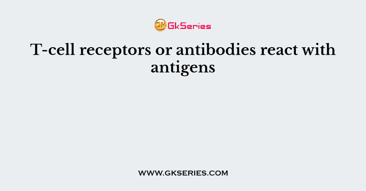 T-cell receptors or antibodies react with antigens