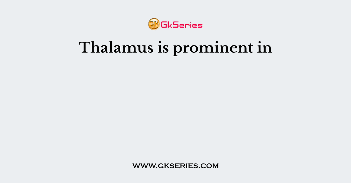 Thalamus is prominent in