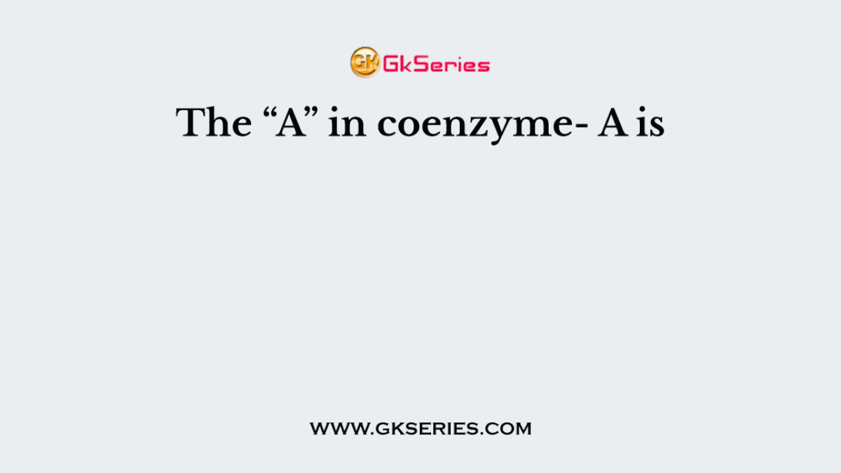 The “A” in coenzyme- A is