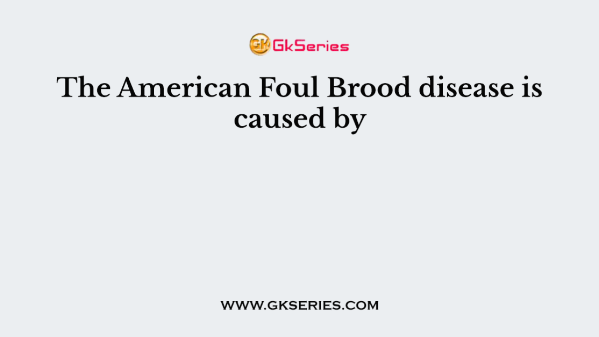The American Foul Brood disease is caused by