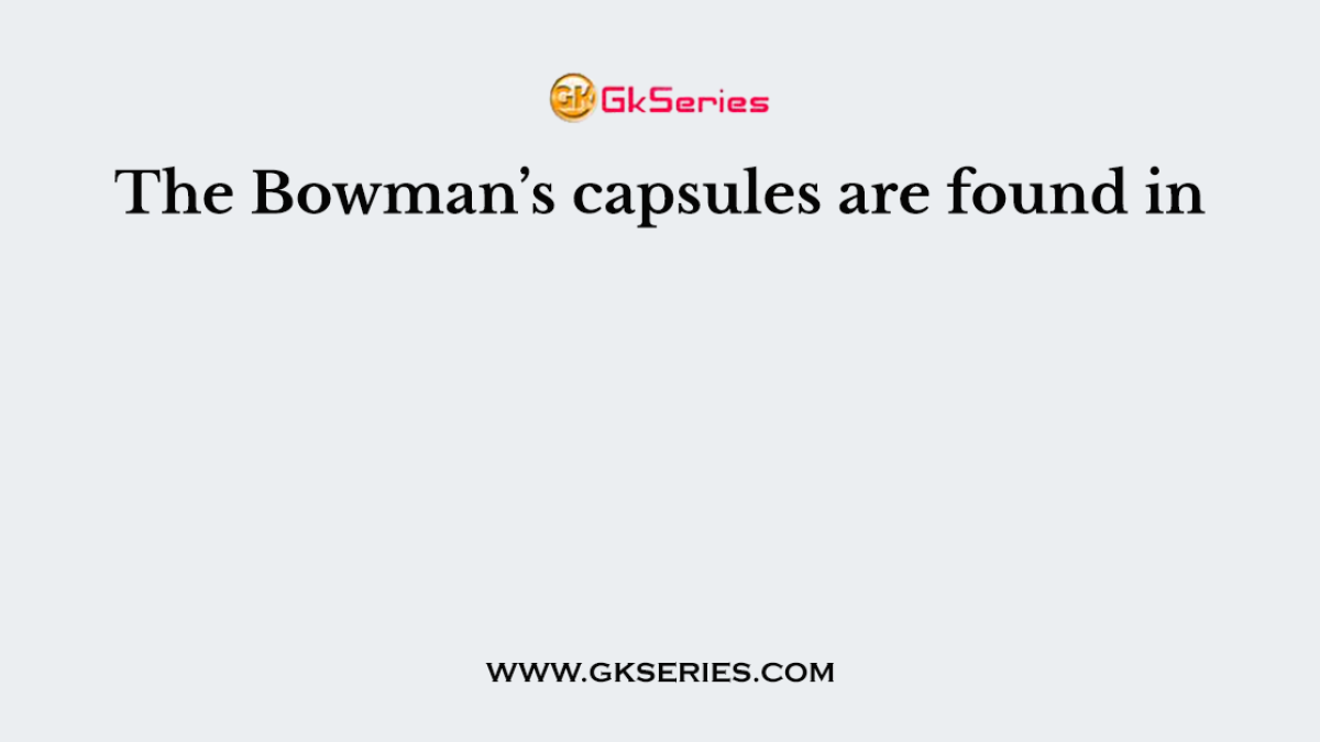 The Bowman’s capsules are found in