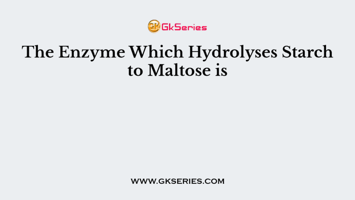 The Enzyme Which Hydrolyses Starch to Maltose is