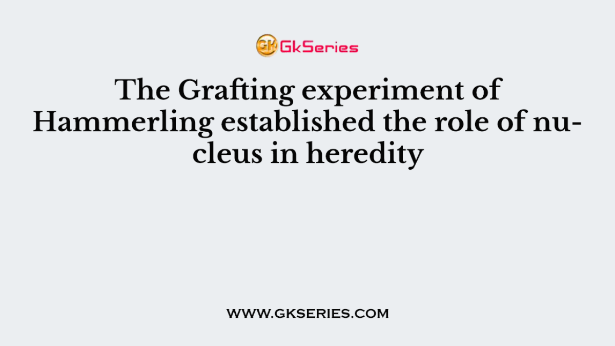 The Grafting experiment of Hammerling established the role of nucleus in heredity