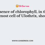 The absence of chlorophyll, in the lowermost cell of Ulothrix, shows