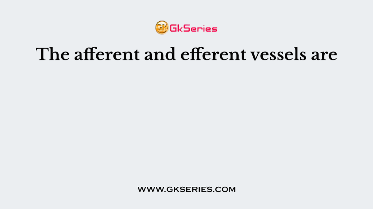 The afferent and efferent vessels are