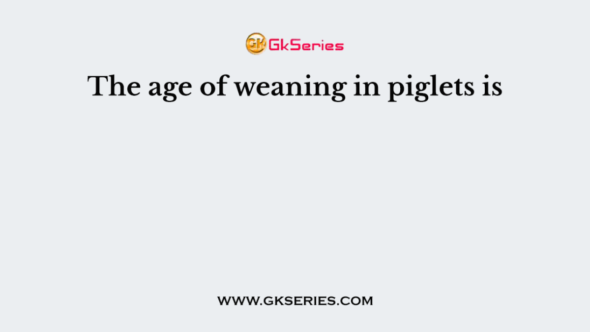The age of weaning in piglets is