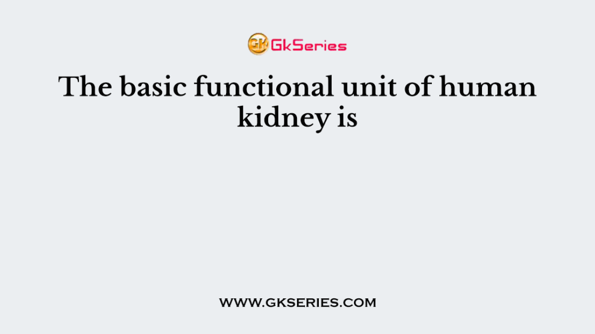 The basic functional unit of human kidney is