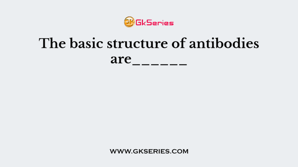 The basic structure of antibodies are______
