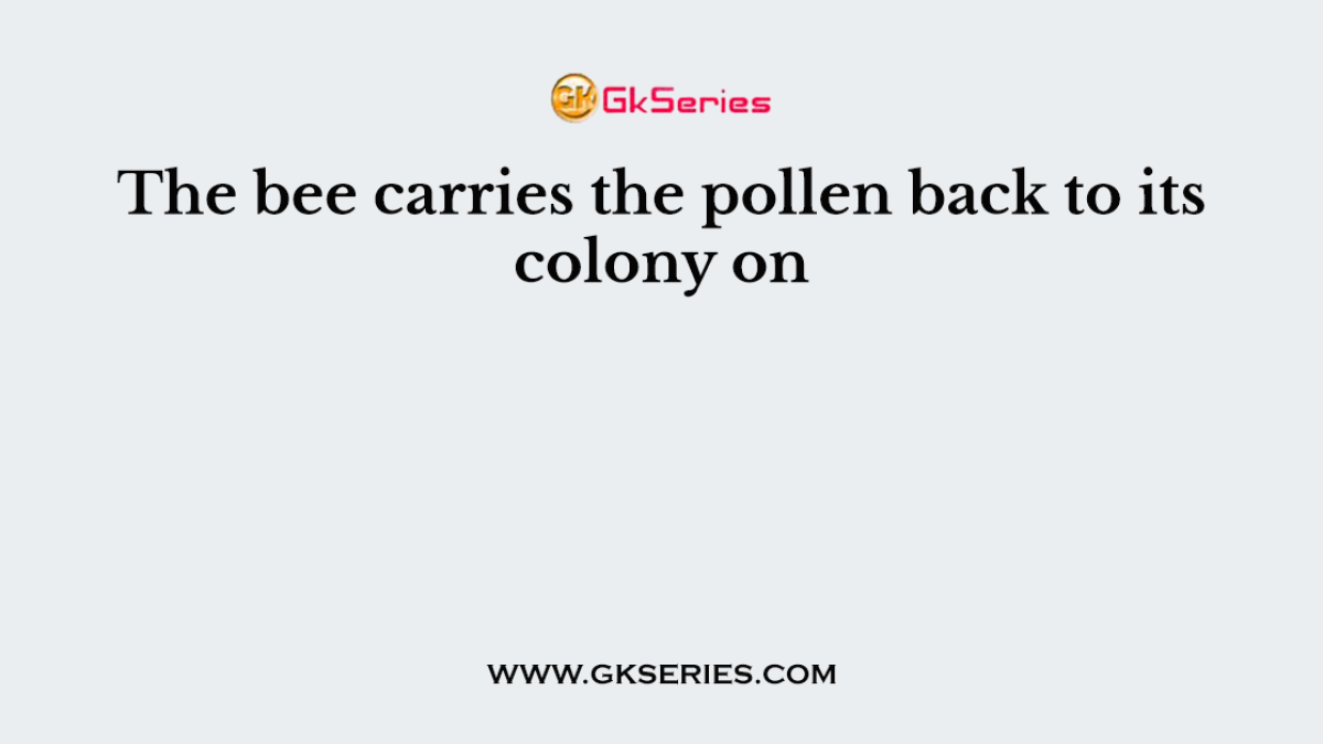 The bee carries the pollen back to its colony on