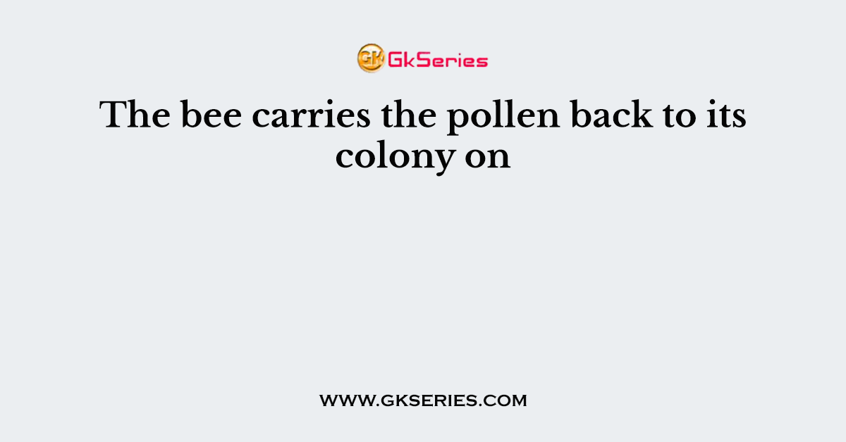 The bee carries the pollen back to its colony on