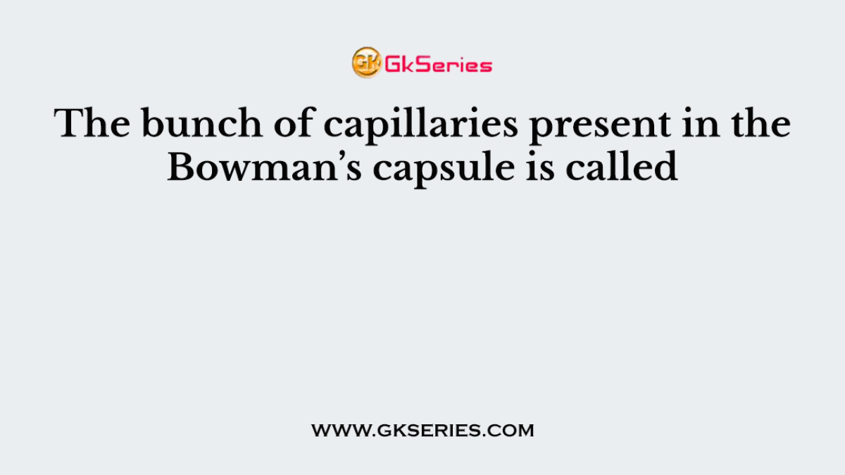 The bunch of capillaries present in the Bowman’s capsule is called