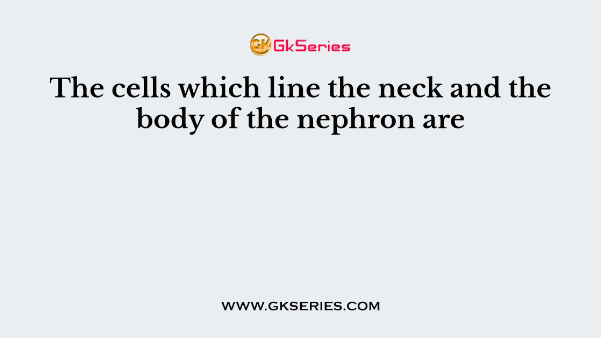The cells which line the neck and the body of the nephron are
