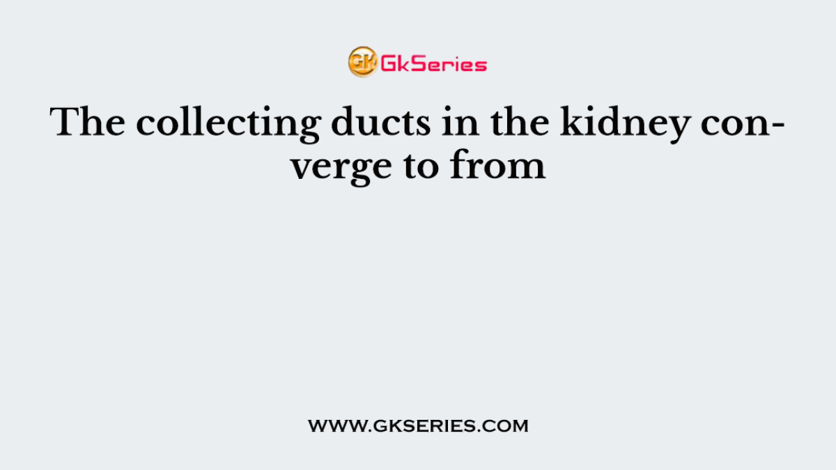 The collecting ducts in the kidney converge to from