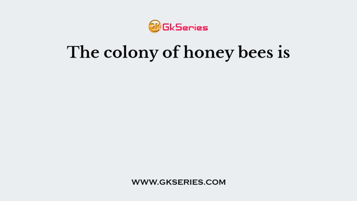 The colony of honey bees is