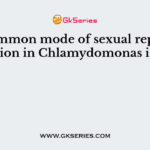 The common mode of sexual reproduction in Chlamydomonas is