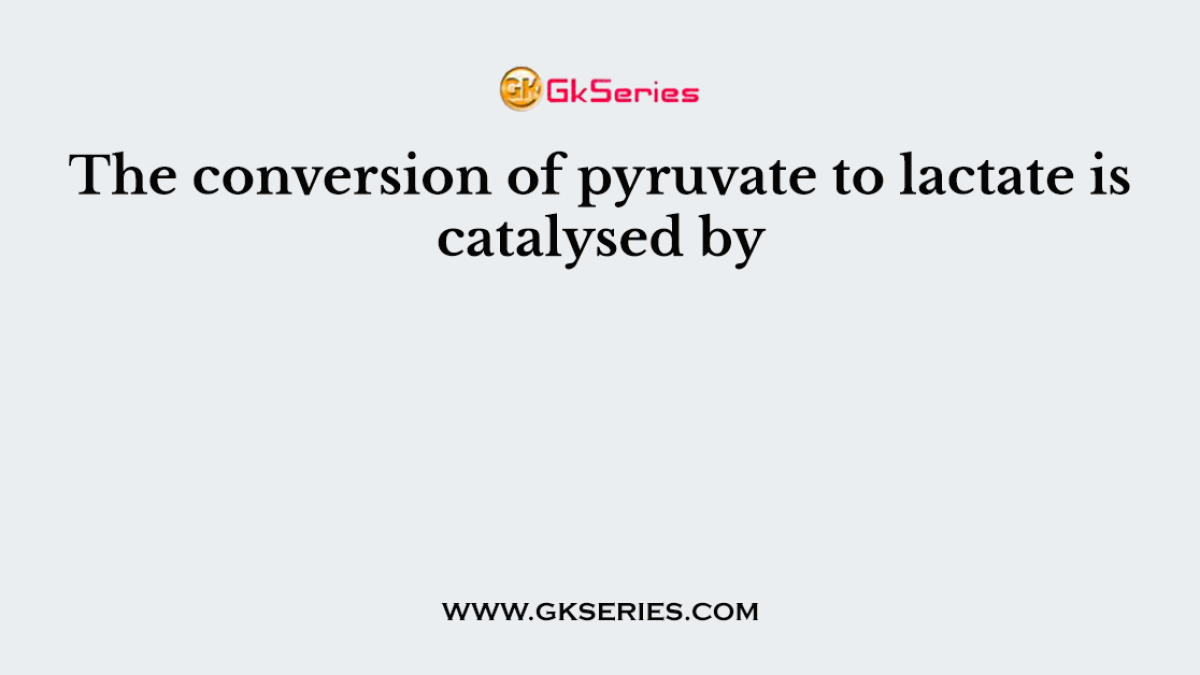 The conversion of pyruvate to lactate is catalysed by