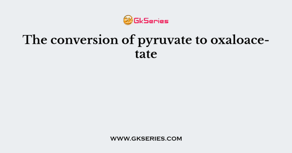 The conversion of pyruvate to oxaloacetate