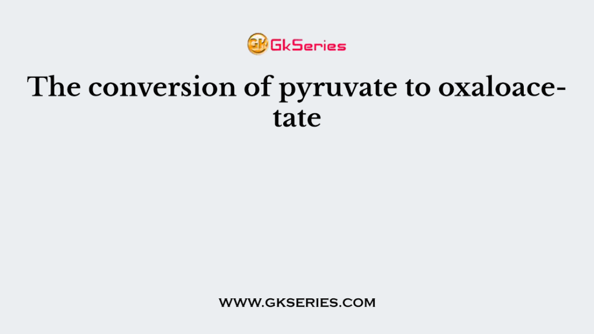 The conversion of pyruvate to oxaloacetate