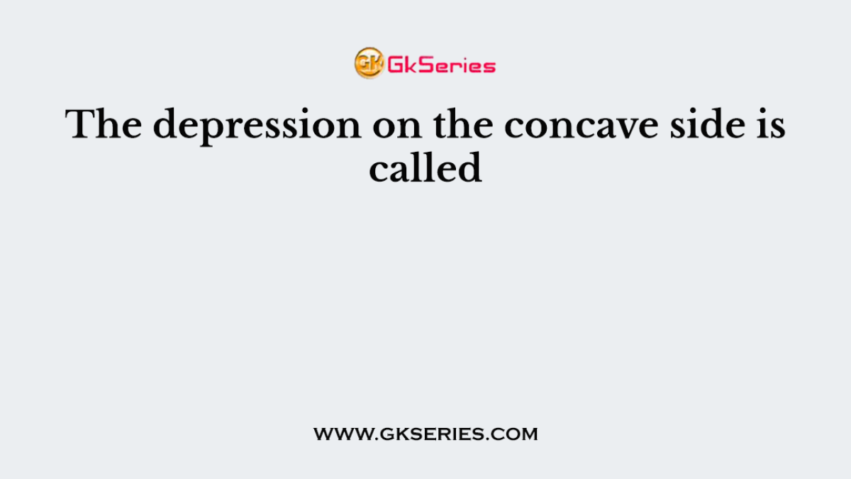 The depression on the concave side is called