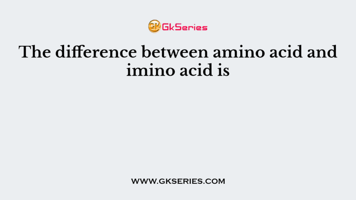 The difference between amino acid and imino acid is