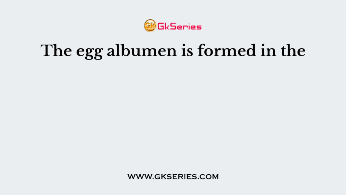 The egg albumen is formed in the