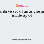 The embryo sac of an angiosperm is made up of
