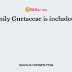 The family Gnetaceae is included under