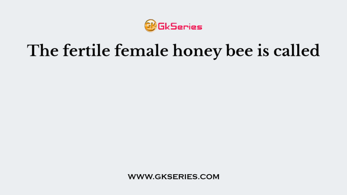 The fertile female honey bee is called