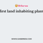 The first land inhabiting plants are