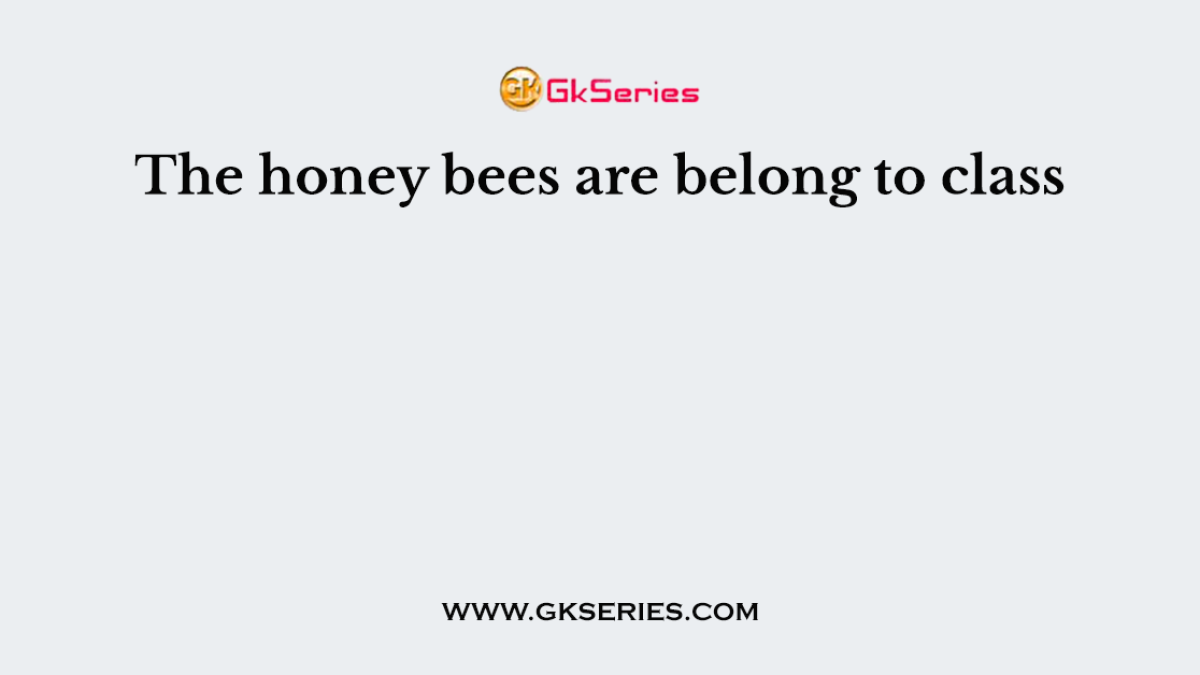 The honey bees are belong to class