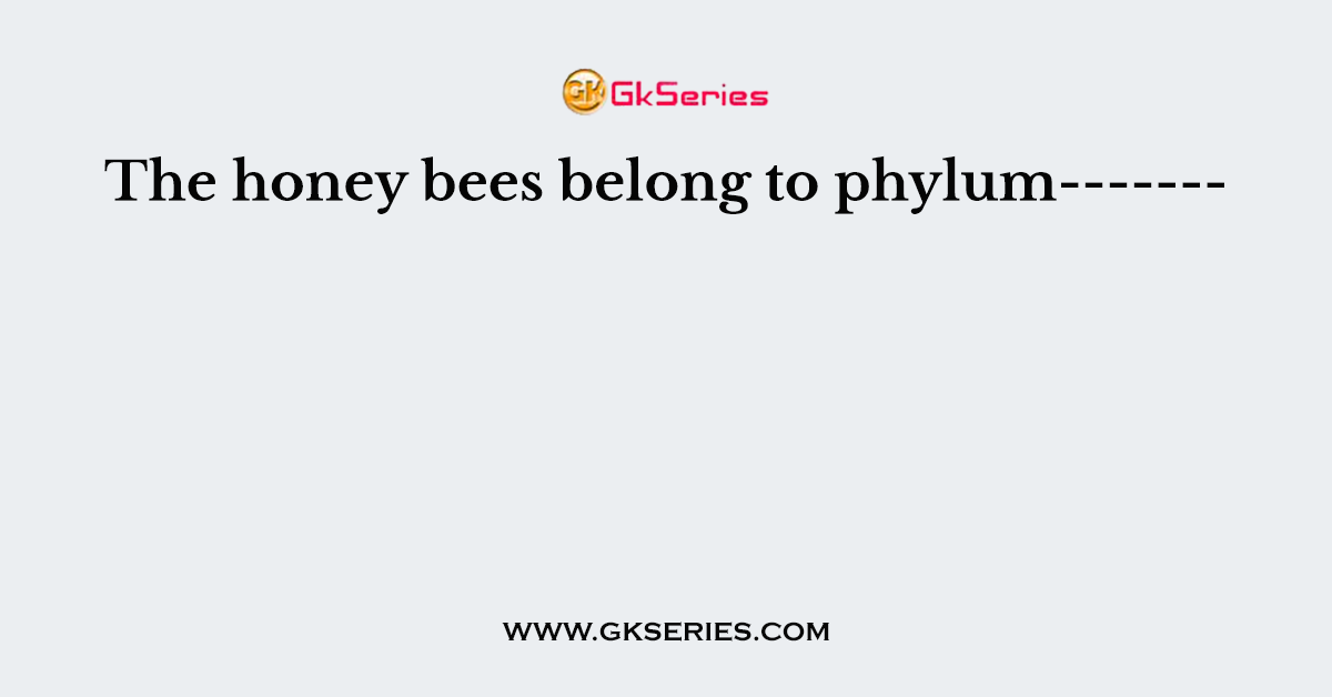 The honey bees belong to phylum-------