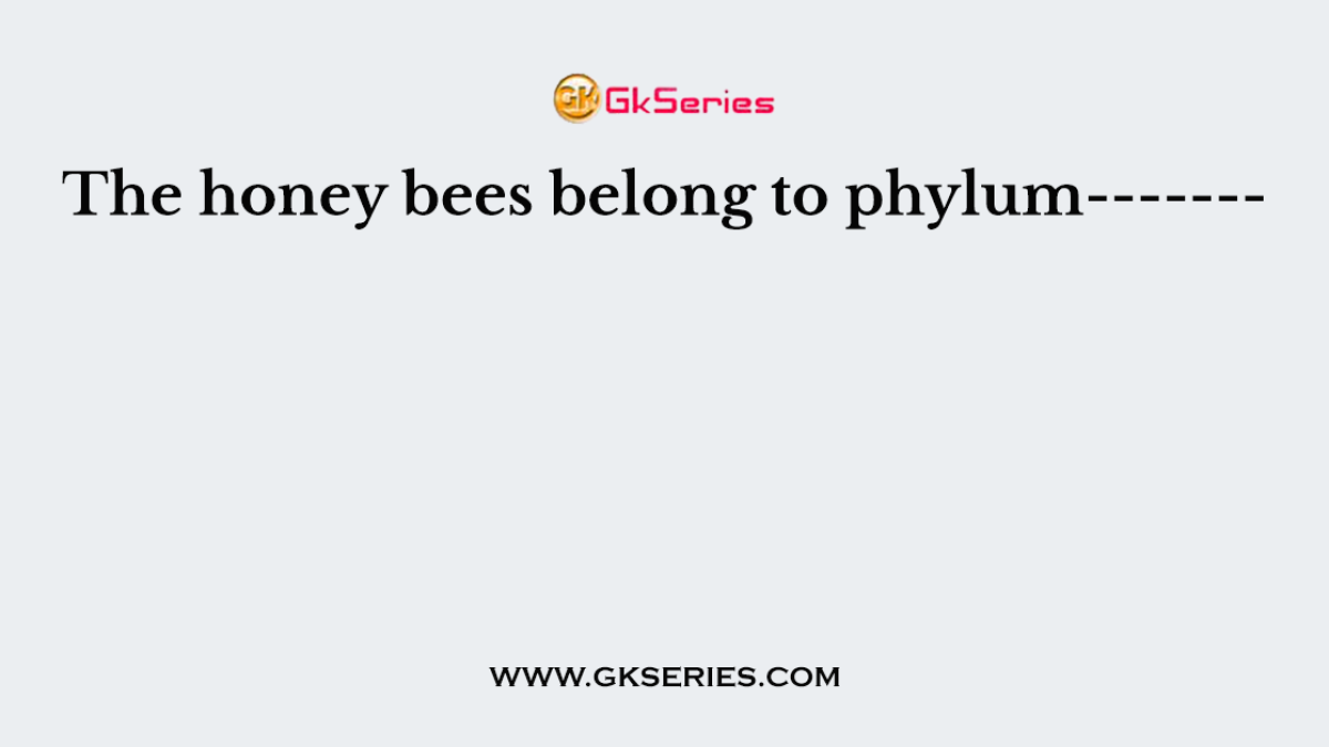 The honey bees are belong to order-------