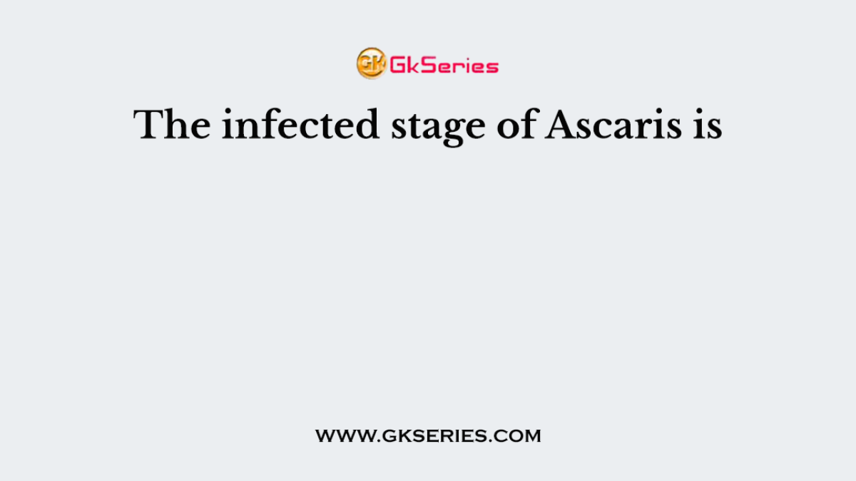 The infected stage of Ascaris is