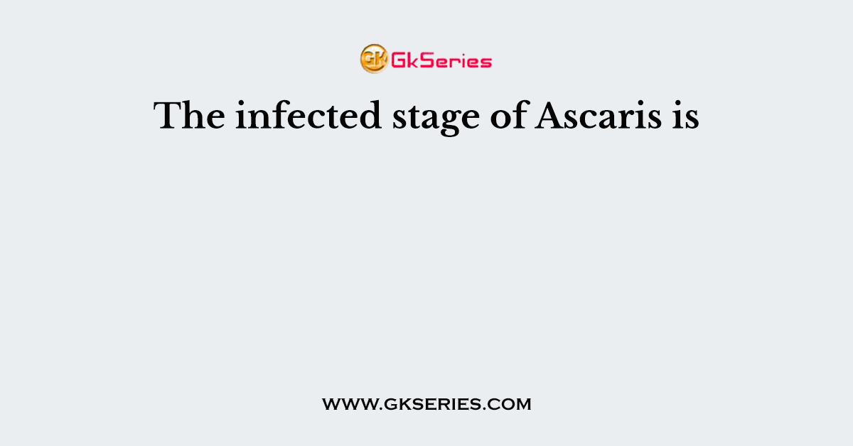 The infected stage of Ascaris is